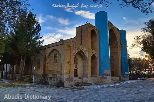 درخت چنار کهنسال خامنه